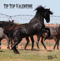 Tip Top Valentine